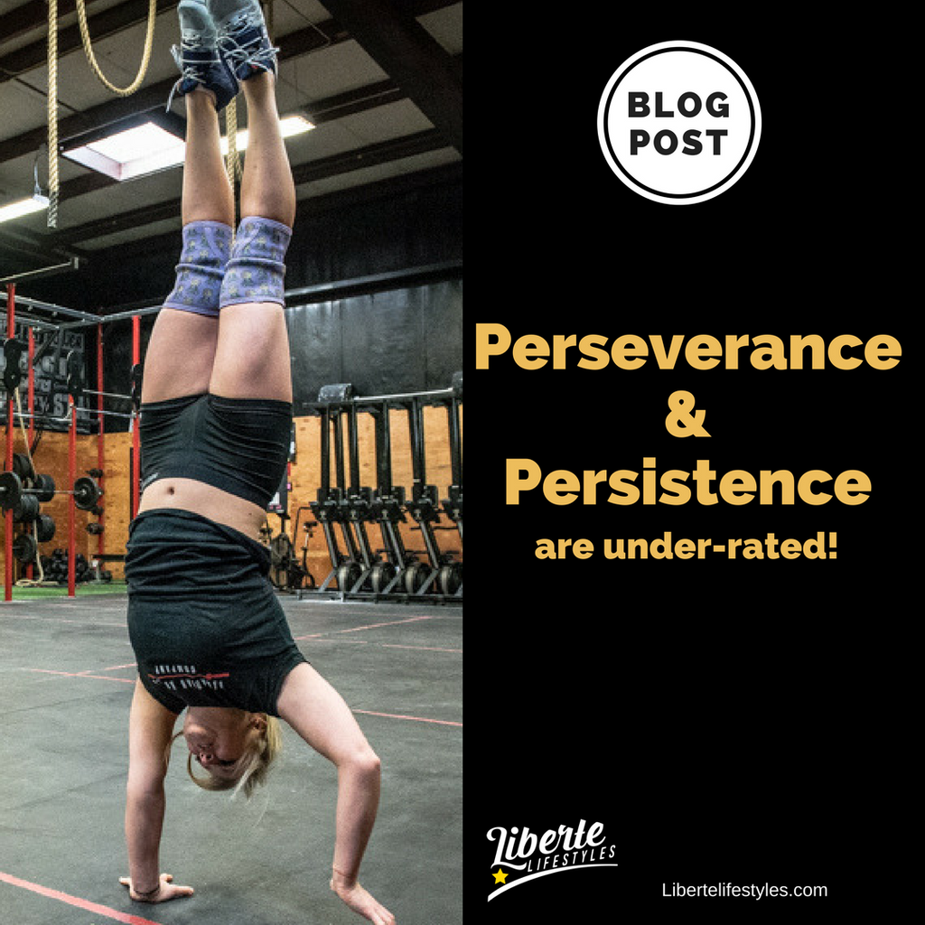 Perseverance and Persistence are under rated